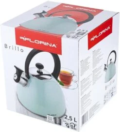 Florina Brillo Fluitketel 2,5L Voor Alle Warmtebronnen - Waterketel - Mint Groen -Keukengerei Winkel 1086x1200 2