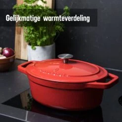 Daumonet Bocuse Rouge Gietijzeren Braadpan - Sudderpan Kersen Rood - Ovaal - Ø 29 Cm - 3 Liter - PFAS & PFOA Vrij - Emaille - Geschikt Voor Alle Warmtebronnen - Elektrisch - Gas - Halogeen - Inductie - Keramisch - Vaatwasserbestendig -Keukengerei Winkel 1200x1200 1318