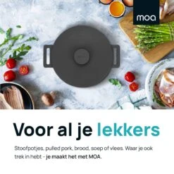 MOA Gietijzeren Braadpan - Inhoud 7,1 Liter - 29CM - Rond - Alle Warmtebronnen - Ook Voor Inductie - Gewicht 7,6 Kg - Zwart - MC29B -Keukengerei Winkel 1200x1200 1409