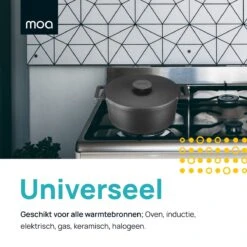 MOA Gietijzeren Braadpan - Inhoud 7,1 Liter - 29CM - Rond - Alle Warmtebronnen - Ook Voor Inductie - Gewicht 7,6 Kg - Zwart - MC29B -Keukengerei Winkel 1200x1200 1412