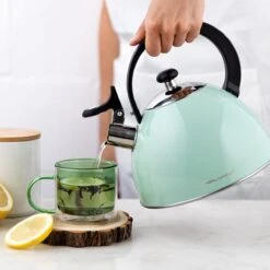 Florina Brillo Fluitketel 2,5L Voor Alle Warmtebronnen - Waterketel - Mint Groen -Keukengerei Winkel 1200x1200 1706