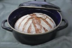 BK Fortalit Braadpan Ø 22 Cm / 2L - Emaille - Inductie -Keukengerei Winkel 1200x800 270