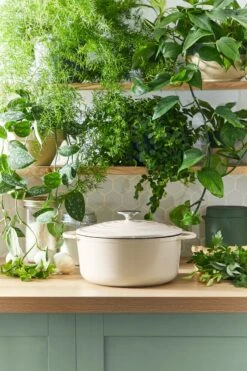 Tefal LOV Braadpan - 5L - Ø25 Cm - Beige -Keukengerei Winkel 800x1200 29